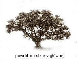 powrt do strony gwnej